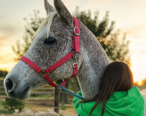 Actividades en la Vallesa